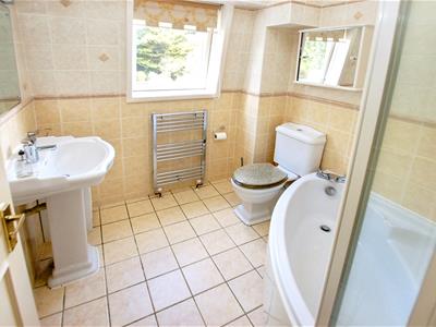 Picture 15